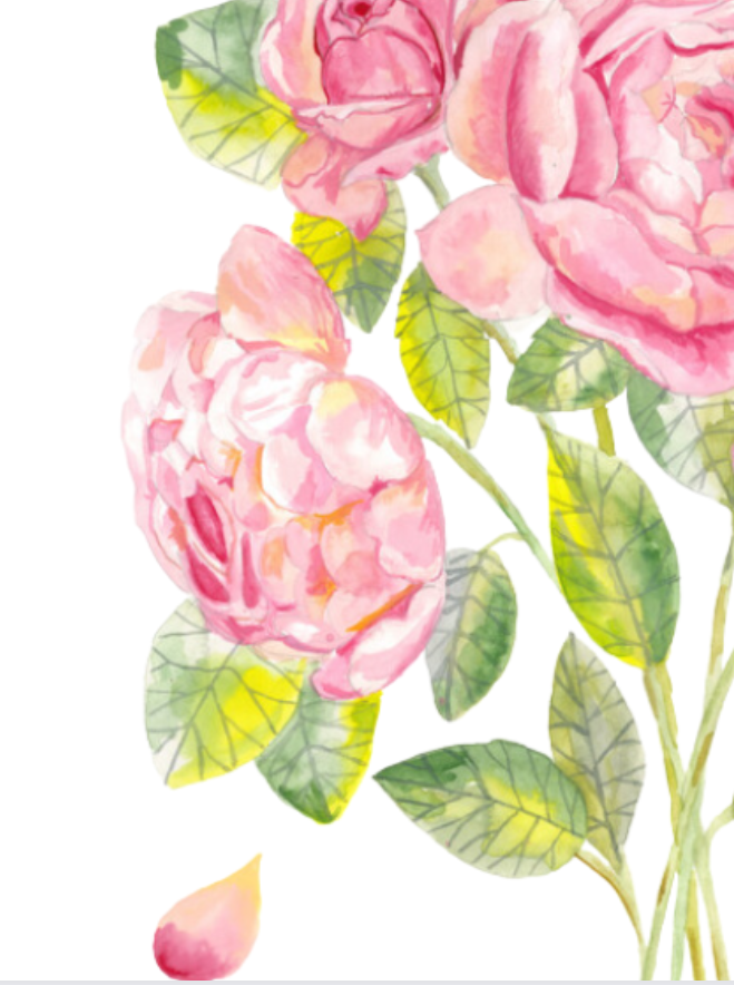 Print of Pale Pink Roses