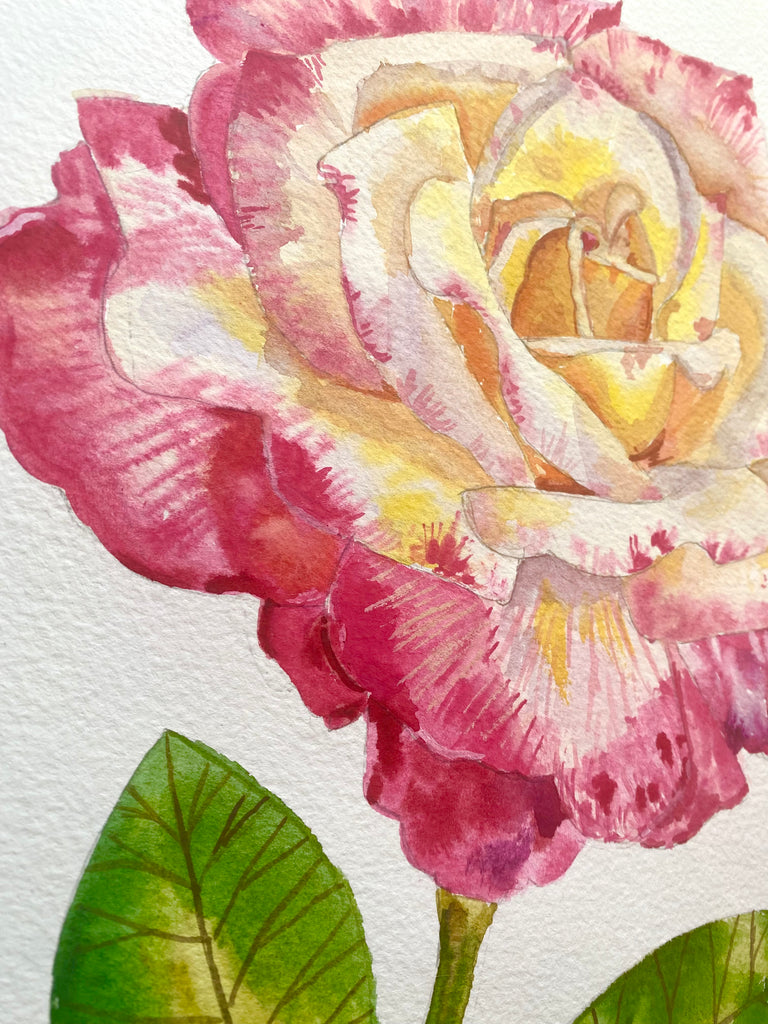 Personalised Hot pink tea rose original painting