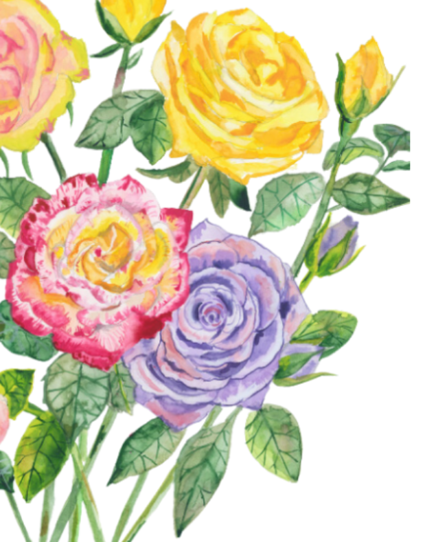 Print of Garden Roses