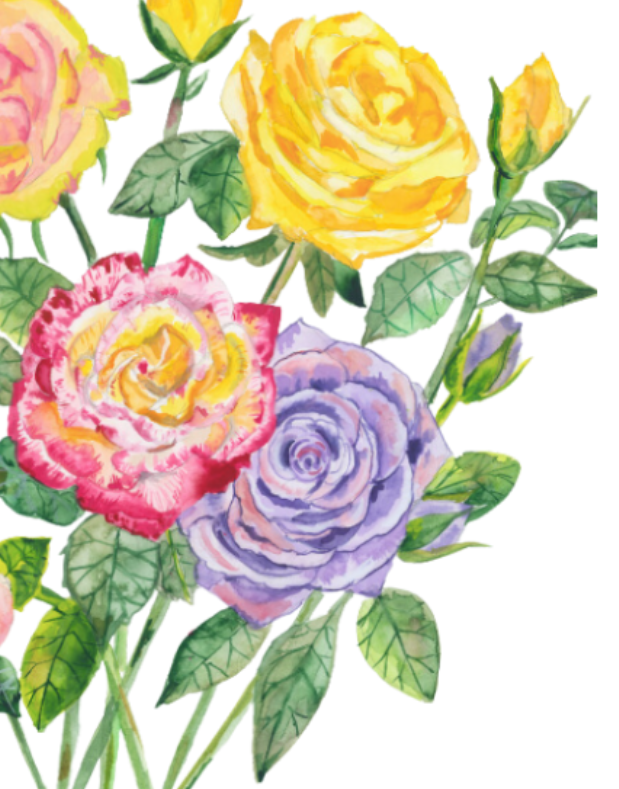 Aw Print Roses Print of Garden Roses - AnzuEngland