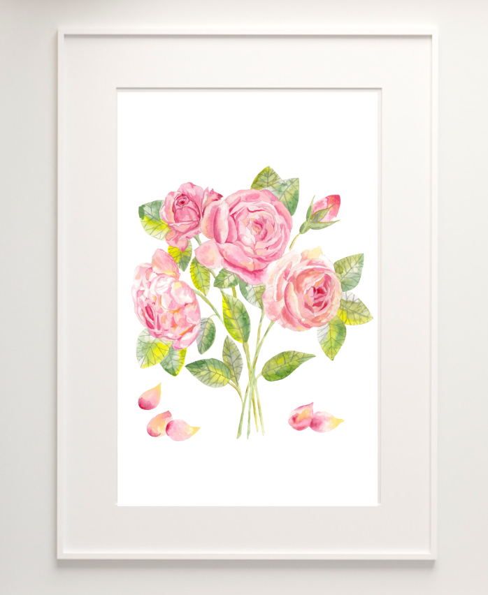 Print of Pale Pink Roses