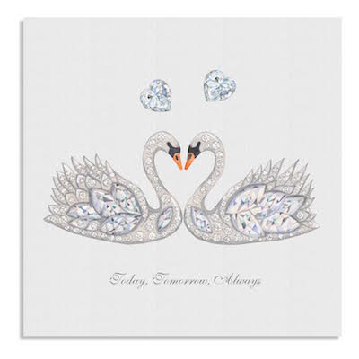 Swans card